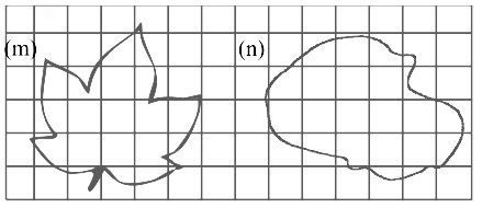 NCERT Class 6 Math Solution