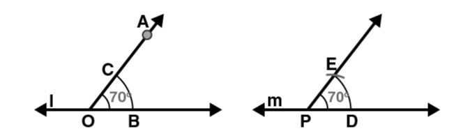 NCERT Class 6 Math Solution