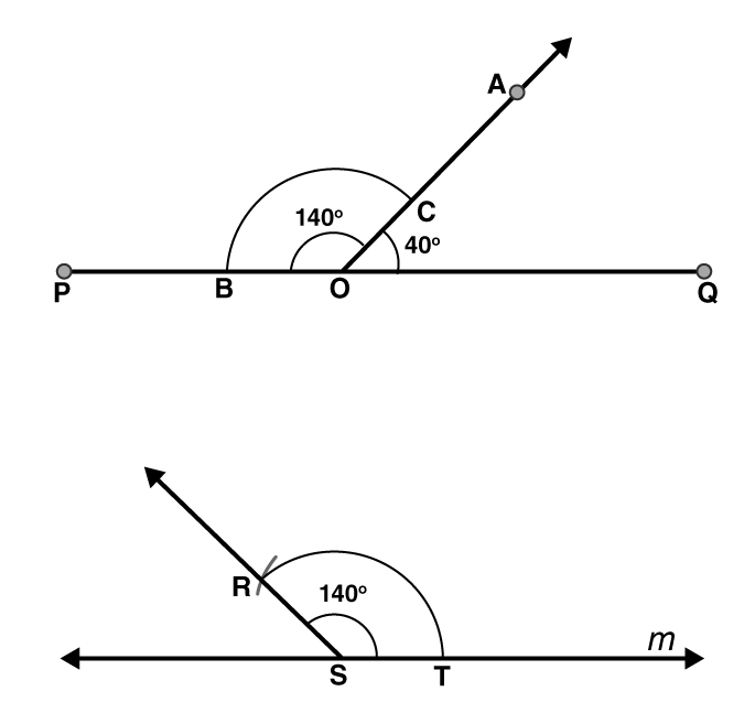 NCERT Class 6 Math Solution