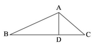 NCERT Class 6 Math Solution