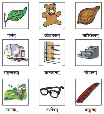 NCERT Class 6 Sanskrit Solution