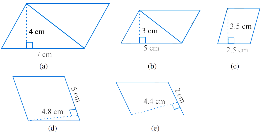 NCERT Class 7 Maths Solution