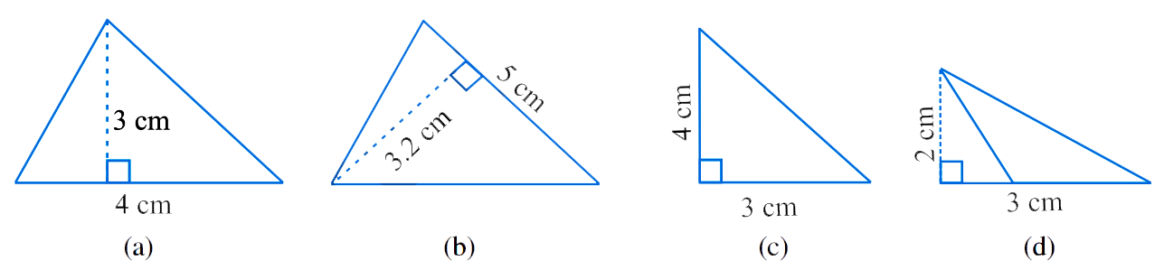 NCERT Class 7 Maths Solution
