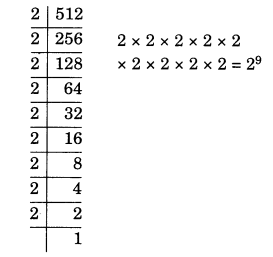 NCERT Class 7 Maths Solution