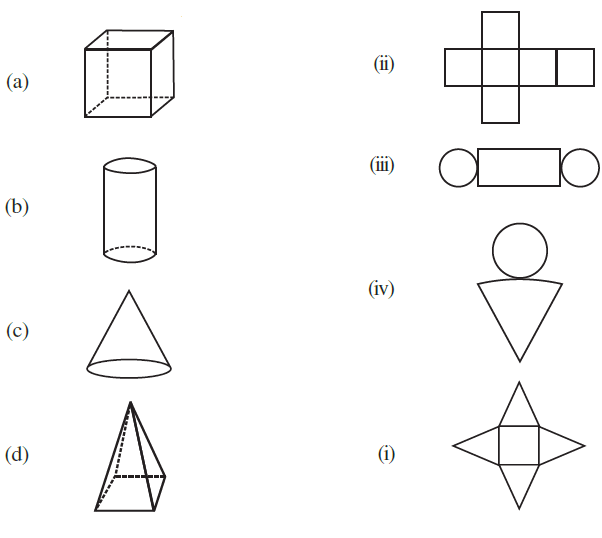 NCERT Class 7 Maths Solution