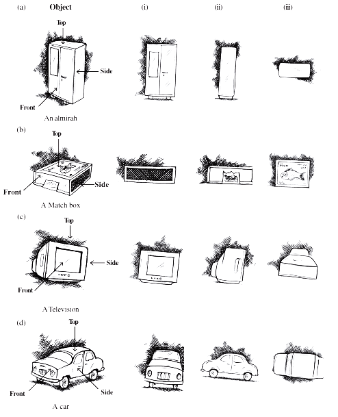 NCERT Maths Solutions Class 8