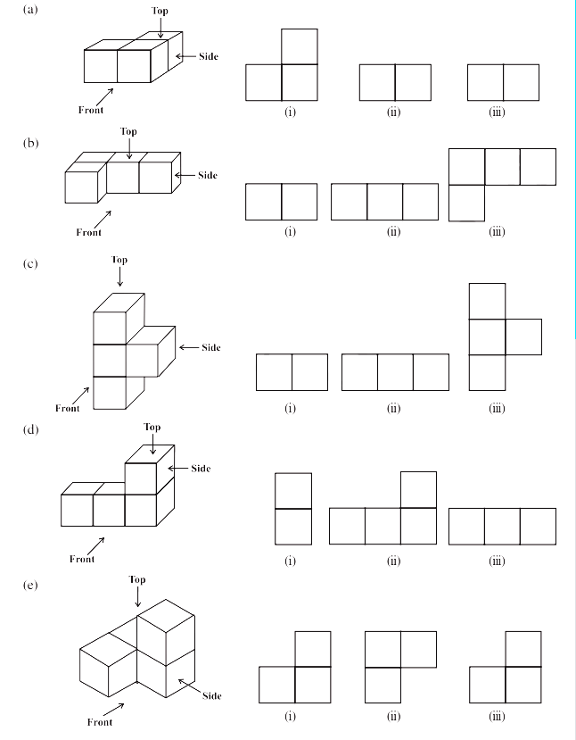 NCERT Maths Solutions Class 8