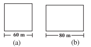 NCERT Maths Solutions Class 8