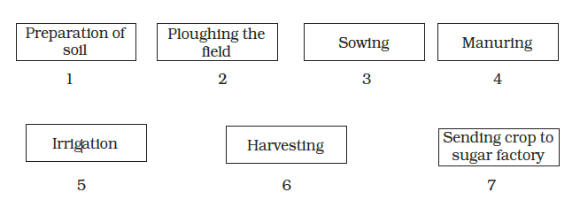 NCERT Class 8 Solutions Science 