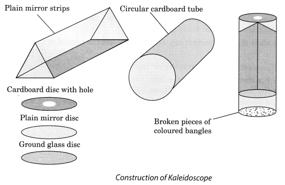 NCERT Class 8 Solutions Science