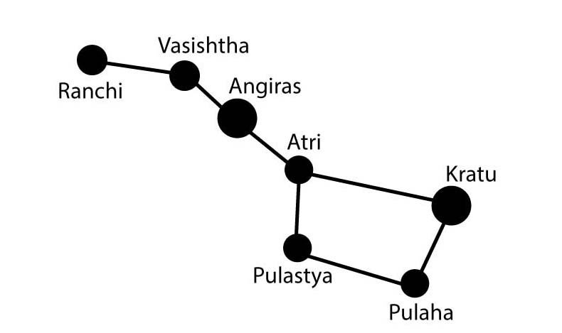 NCERT Class 8 Solutions Science