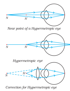 NCERT Solutions Class 10 (Science) Chapter 11 (Human Eye and Colourful ...
