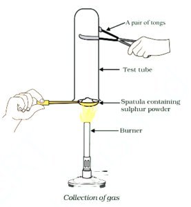 NCERT Class 10 Science Solution