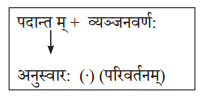 NCERT Class 10 Solution Sanskrit