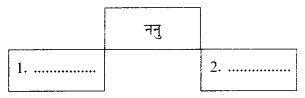 NCER Sanskrit Class 10 Solutions 