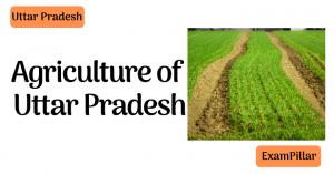 Agriculture of Uttar Pradesh