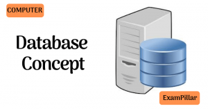 Database Concept