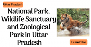 National Park, Wildlife Sanctuary and Zoological Park inUttar Pradesh