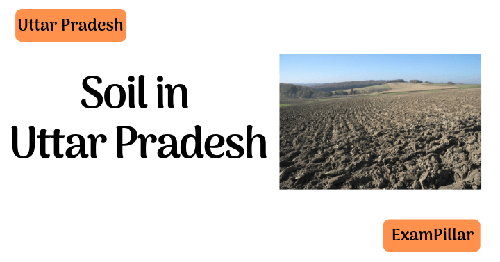 Soil in Uttar Pradesh