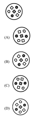 UPSSSC VDO ANSWER KEY