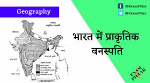 Natural Vegetation in India