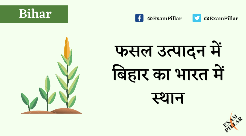 Place of Bihar in Crop Production