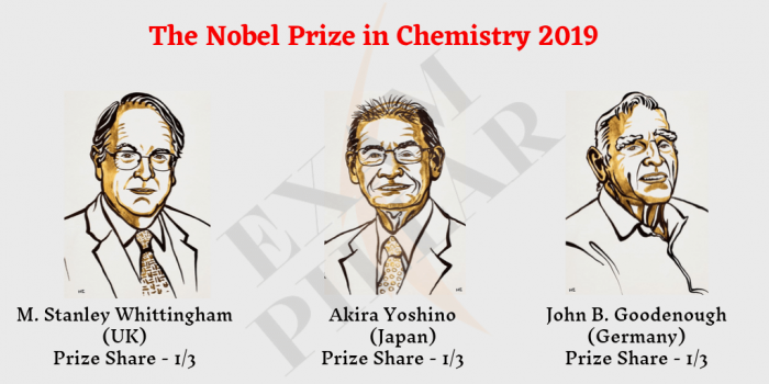 The Nobel Prize in Chemistry 2019