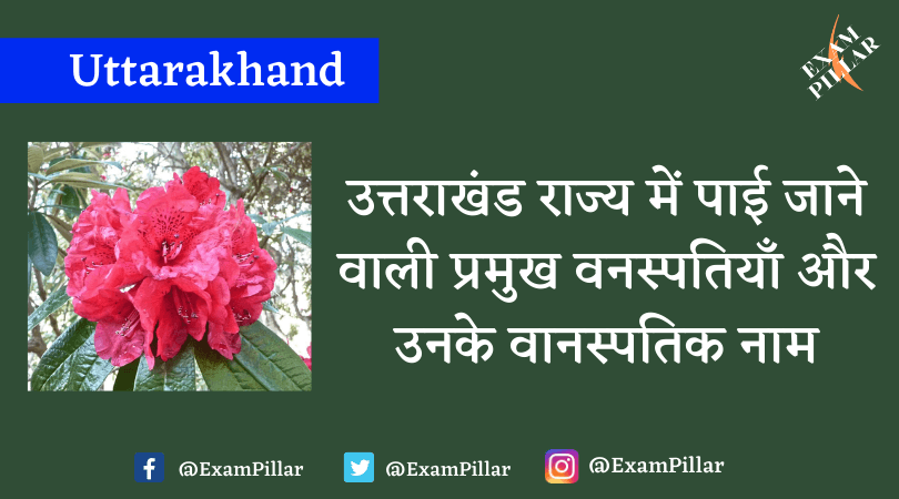 Flora found in the state of Uttarakhand and their botanical names