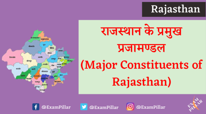 Major Constituents of Rajasthan