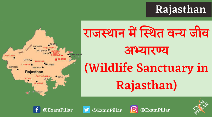 Wildlife Sanctuary in Rajasthan