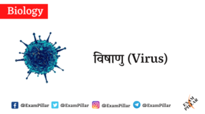 Virus