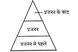 RPSC ACF And Forest Range Officer Exam Paper With Answer Key 