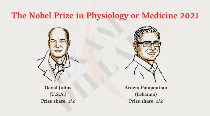 The Nobel Prize in Physiology or Medicine 2021