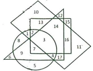 RSMSSB VDO Exam Paper 28 Dec 2021 Answer Key