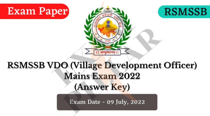 RSMSSB VDO Mains Exam 2022 Answer Key