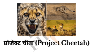 Project Cheetah