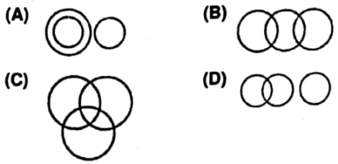 RSMSSB CET Exam Paper 2023 (Answer Key)