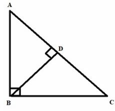 SSC CPO Exam 2022 Answer Key