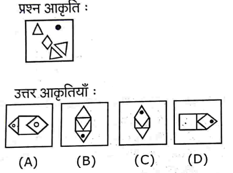Uttarakhand D. El. Ed. Entrance Exam 2023 (Answer Key) 