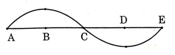 UKSSSC Forest SI (Forester) Exam Paper 2023 (Answer Key)