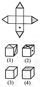 Chhattisgarh Female Supervisor Exam 2023 Answer Key