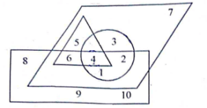 RSMSSB Informatics Assistant Exam Paper - 21 Januaray 2024 (Answer Key)