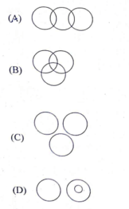 RSMSSB Informatics Assistant Exam Paper - 21 Januaray 2024 (Answer Key)