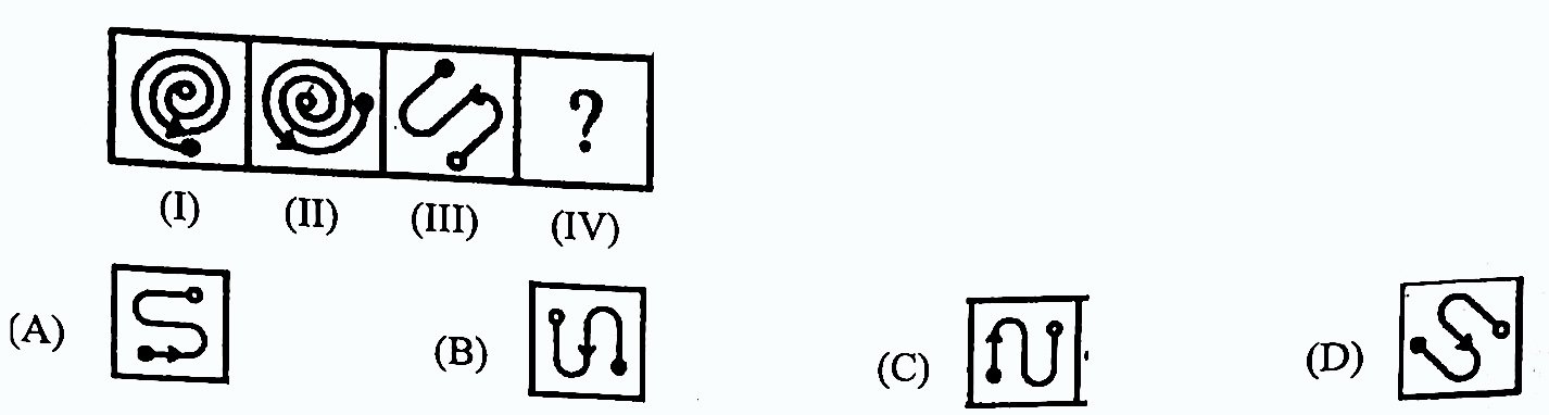 UP Police Constable 25 Aug 2024 (First Shift) Answer Key