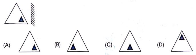 UP Police Exam 30 Aug 2024 (Second Shift) Answer Key