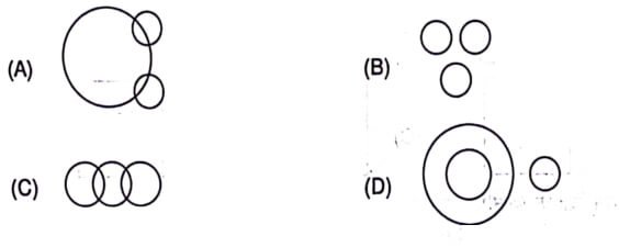 UP Police Exam 30 Aug 2024 (Second Shift) Answer Key