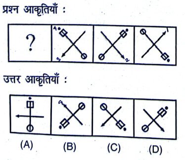 Uttarakhand D.El.Ed. Entrance Exam 30 November 2024 (Answer Key)