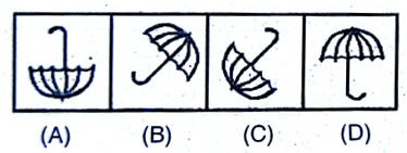 Uttarakhand D.El.Ed. Entrance Exam 30 November 2024 (Answer Key)