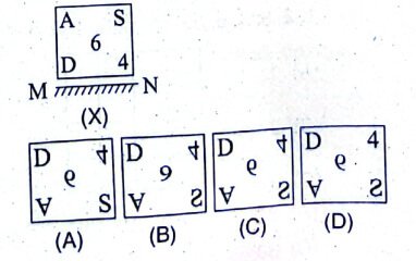 Uttarakhand D.El.Ed. Entrance Exam 30 November 2024 (Answer Key)