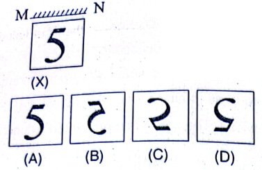 Uttarakhand D.El.Ed. Entrance Exam 30 November 2024 (Answer Key)